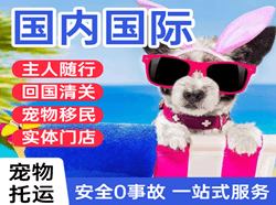 安阳红旗渠空运地址国际宠物托运 【国